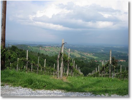 20090516 S&uuml;dsteiermark 074