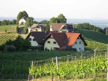 20110526 SüdSteiermark 049 schwarzl