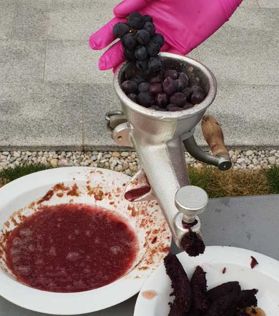 Weintrauben-Marmelade selbst gemacht aus Isabella-Trauben Weintrauben-Marmelade selbst gemacht aus Isabella-Trauben